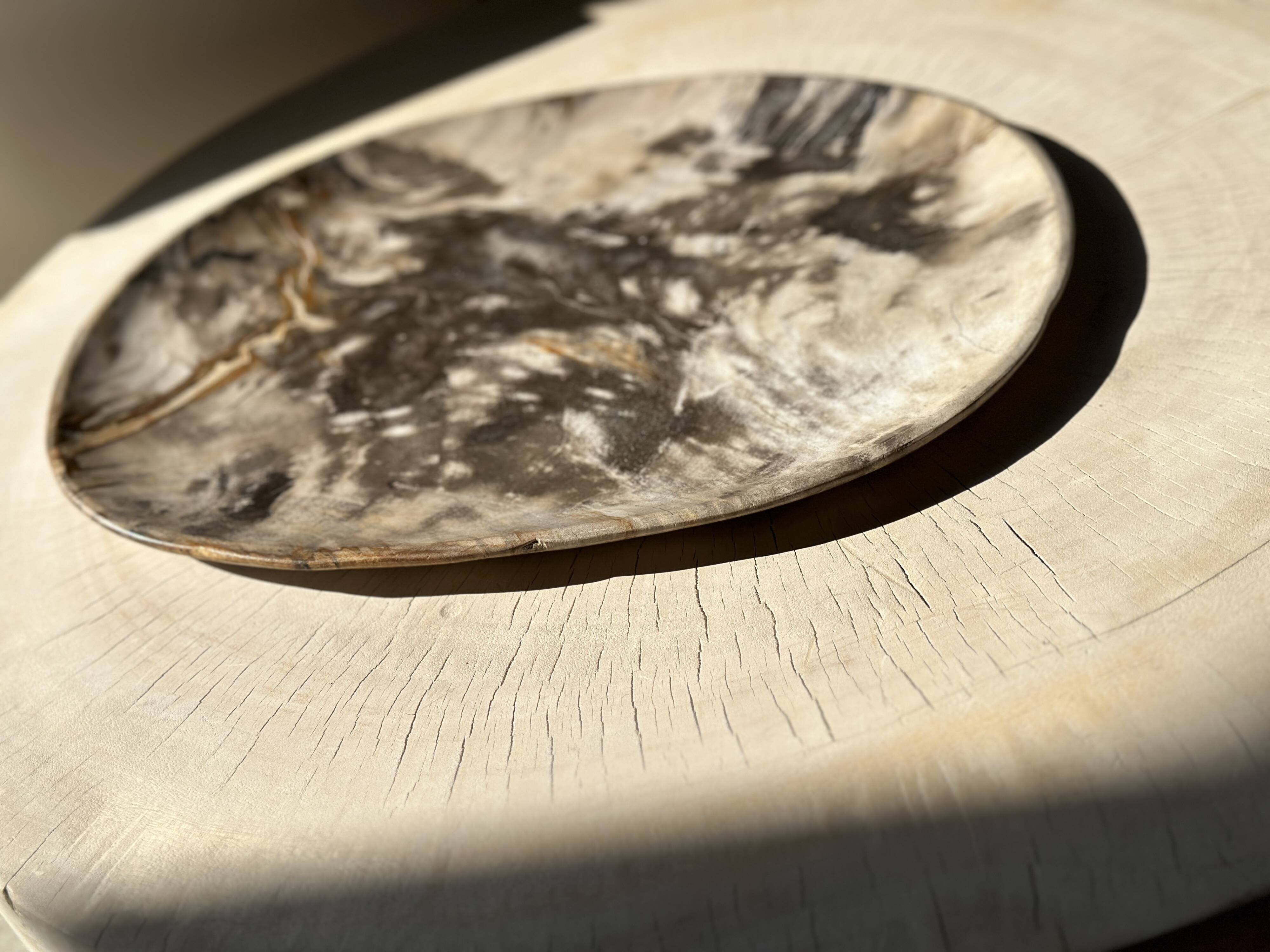 Very large pocket or dish in petrified wood