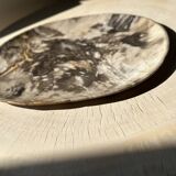 Very large pocket or dish in petrified wood