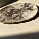 Very large pocket or dish in petrified wood