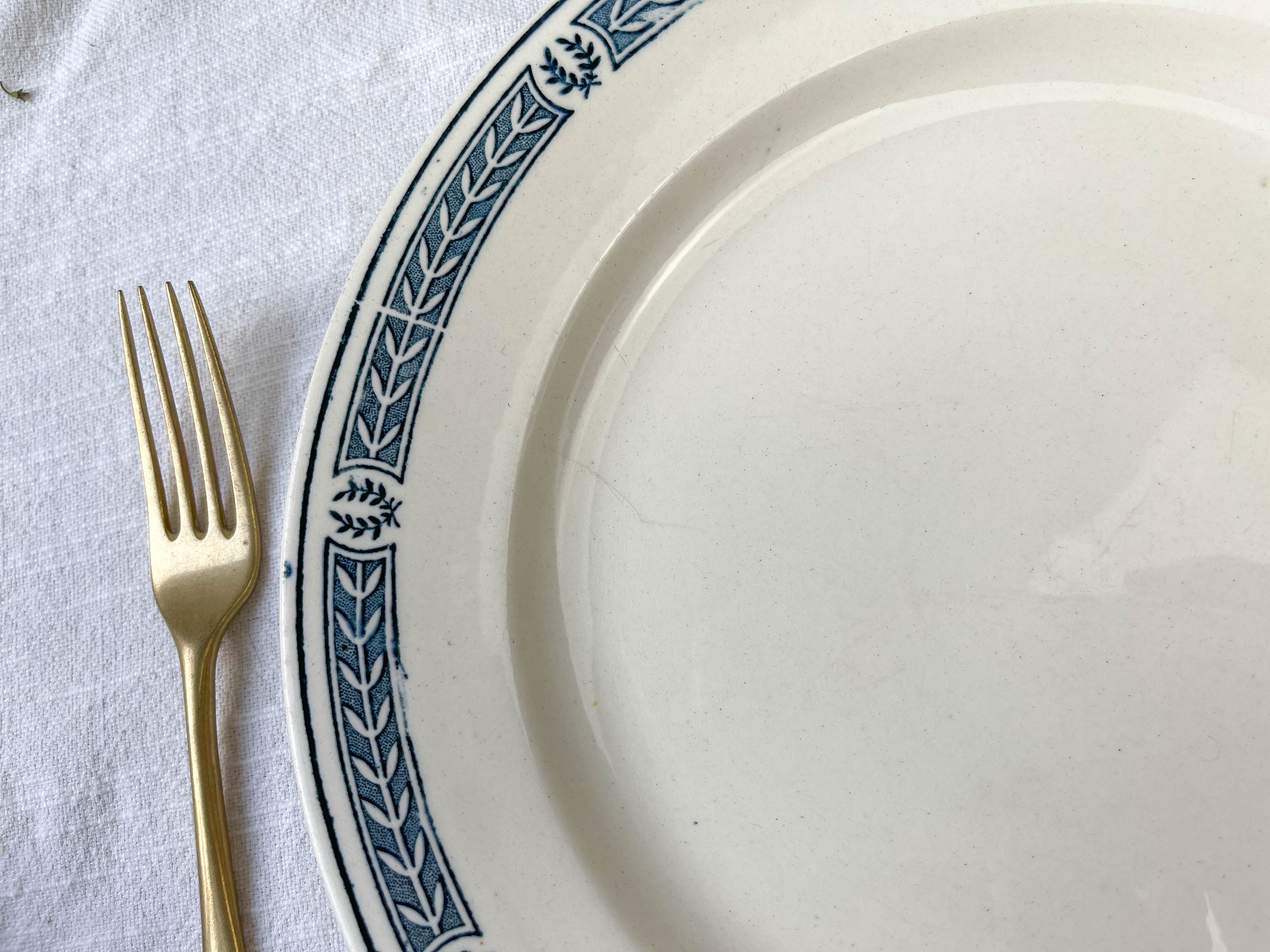 9 vintage flat plates iron earth salins model "castellane"