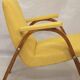 Bow Wood Steiner armchair 1950