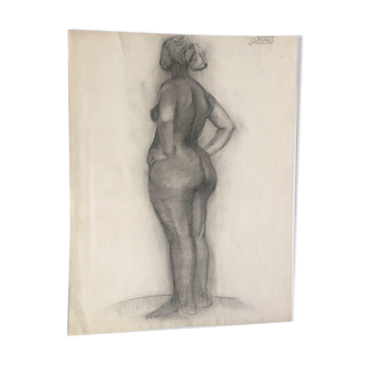 Drawing nude study