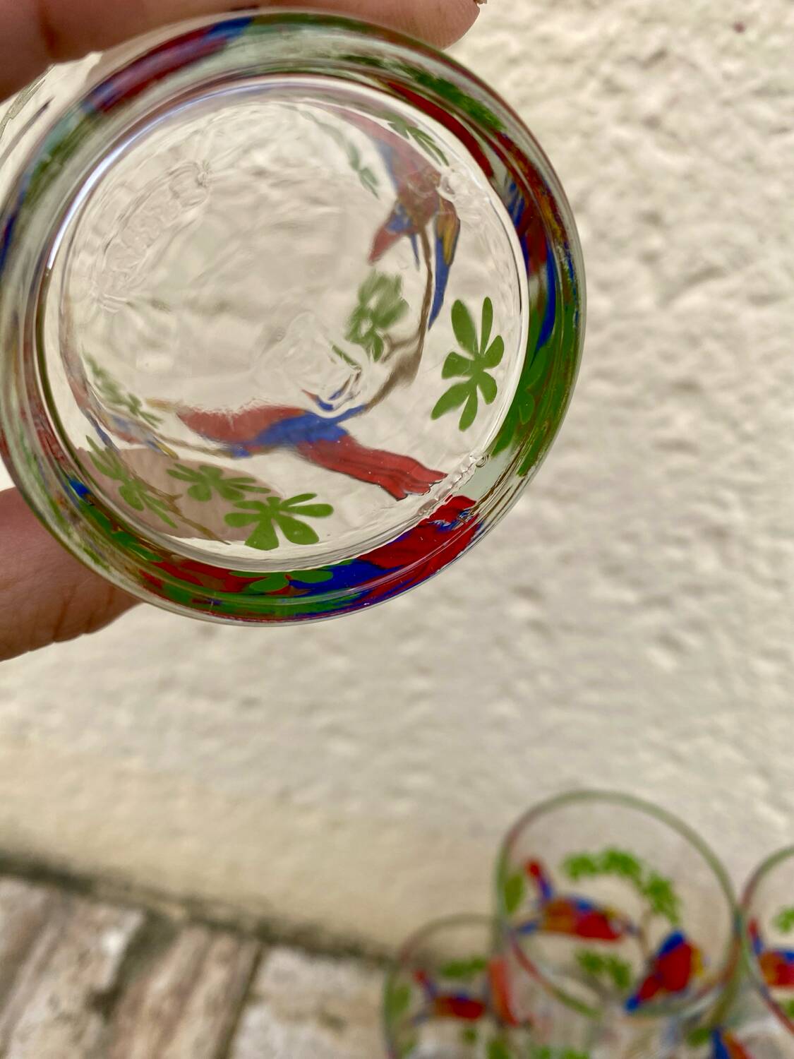 Six vintage parakeet glasses