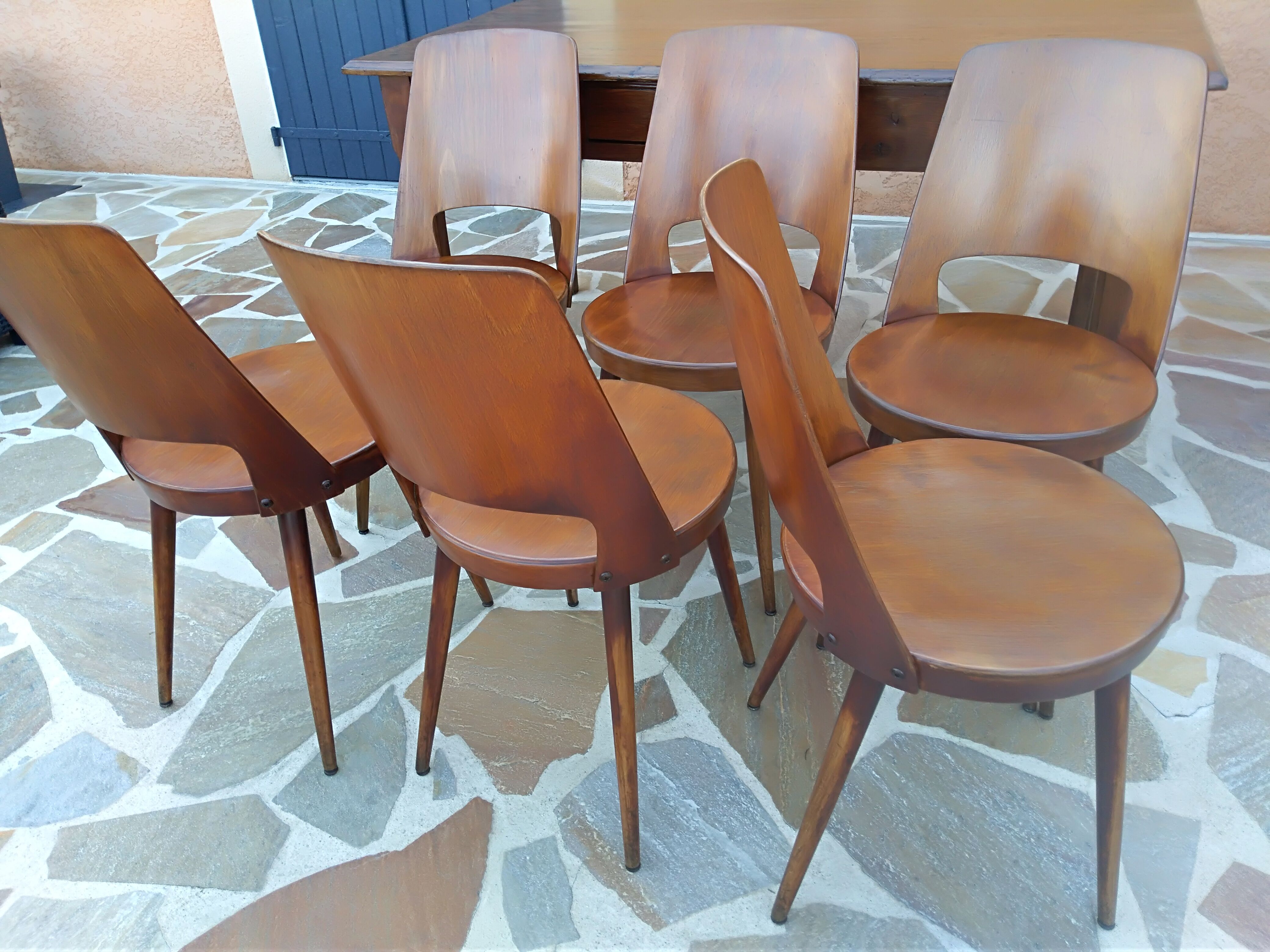 Suite of 6 chairs by Bistrot Baumann model Mondor 1960s