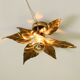 Beautiful brass ceiling or wall lamp from the 1970s by Willy Daro