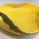 Vallauris fruit bowl 1960s Width 33 cm