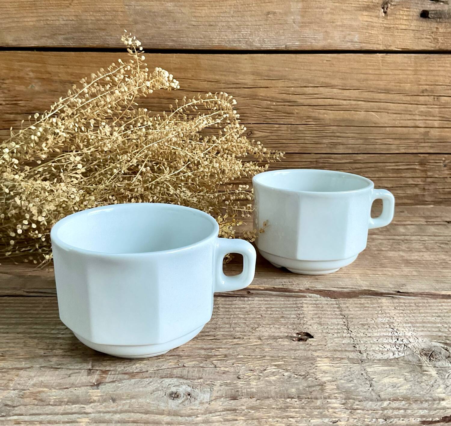 6 large octagonal cups sarreguemines france