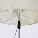 Height Adjustable Floor Lamp by Ruser & Kuntner for Knoll International 1960s