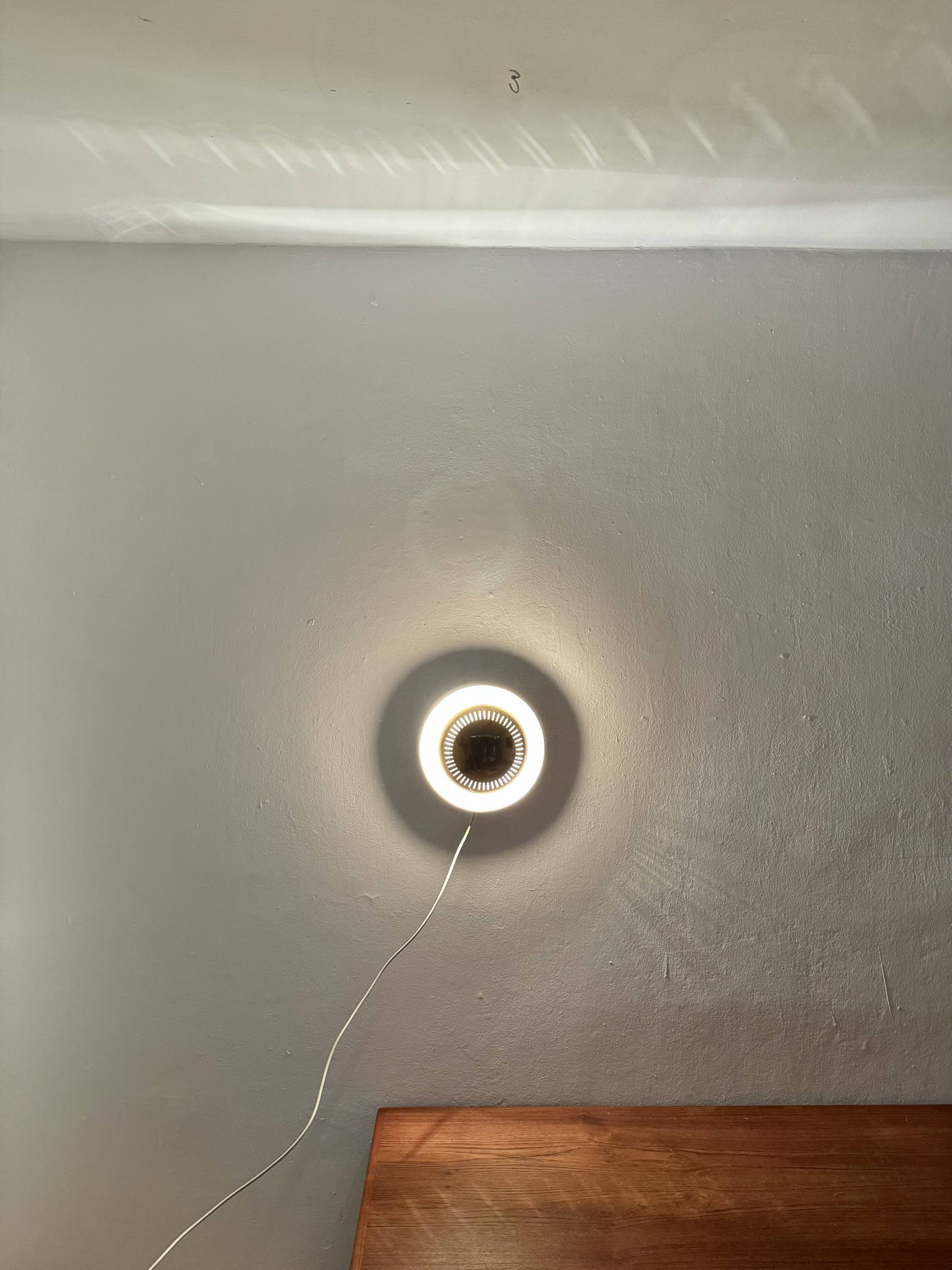 Italian Brass Wall or Flush Lamp