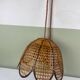 Vintage tulip hanging