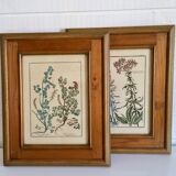 Framed botanical board