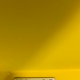 Deux chaises "Alfa" de couleur jaune de Hannes Wettstein pour Molteni