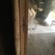 Pine wardrobe with mirror 1900s
