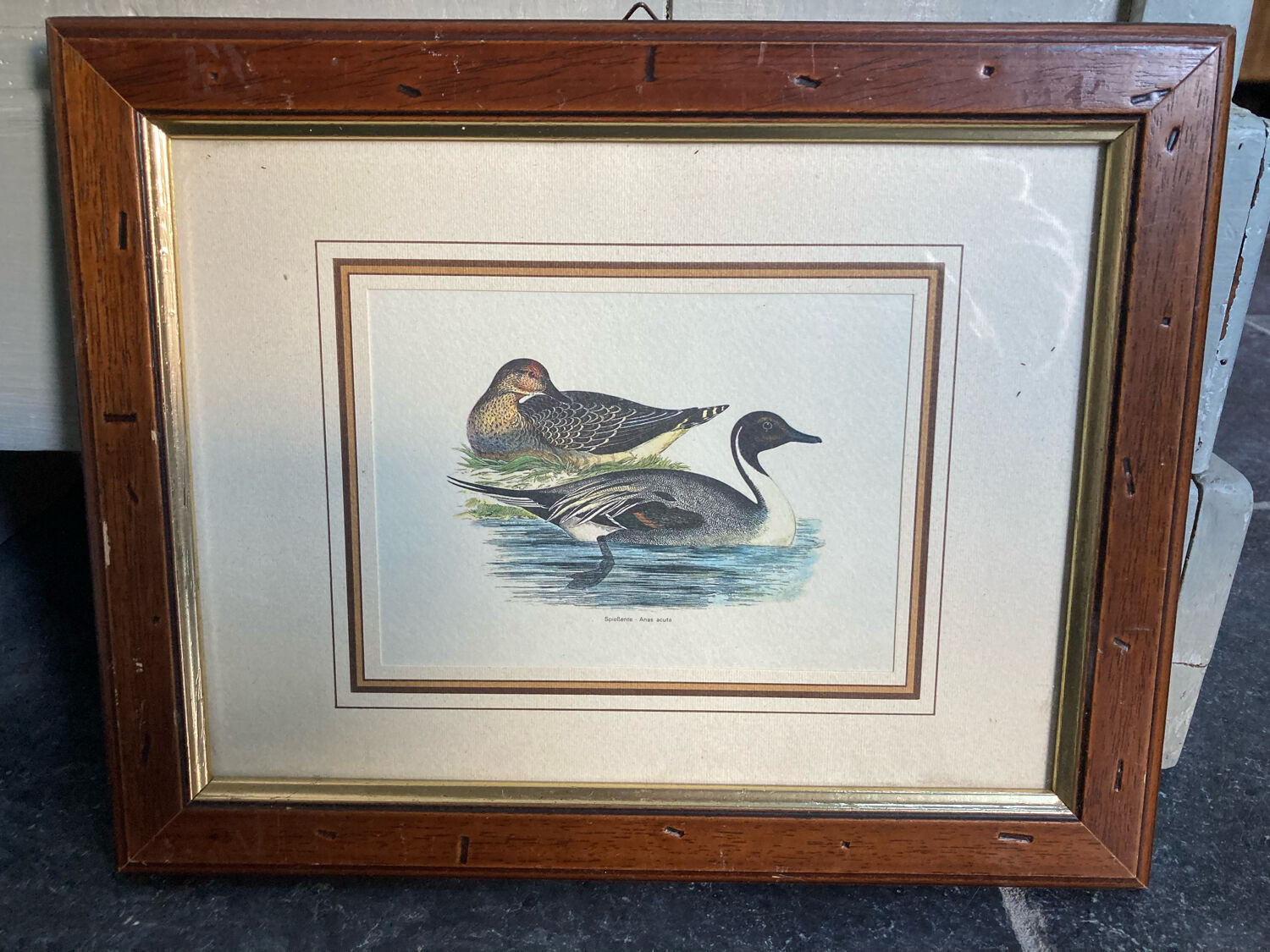Old painting ducks