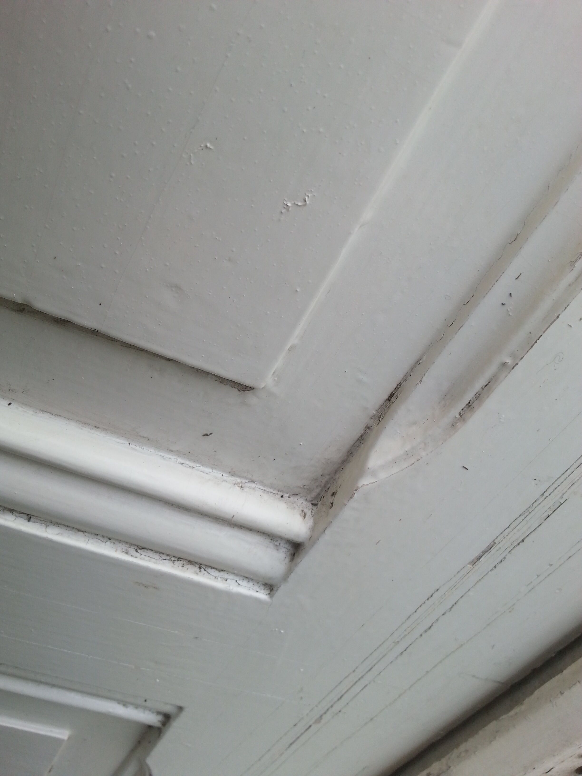 Pair of old beautiful white patina separation doors