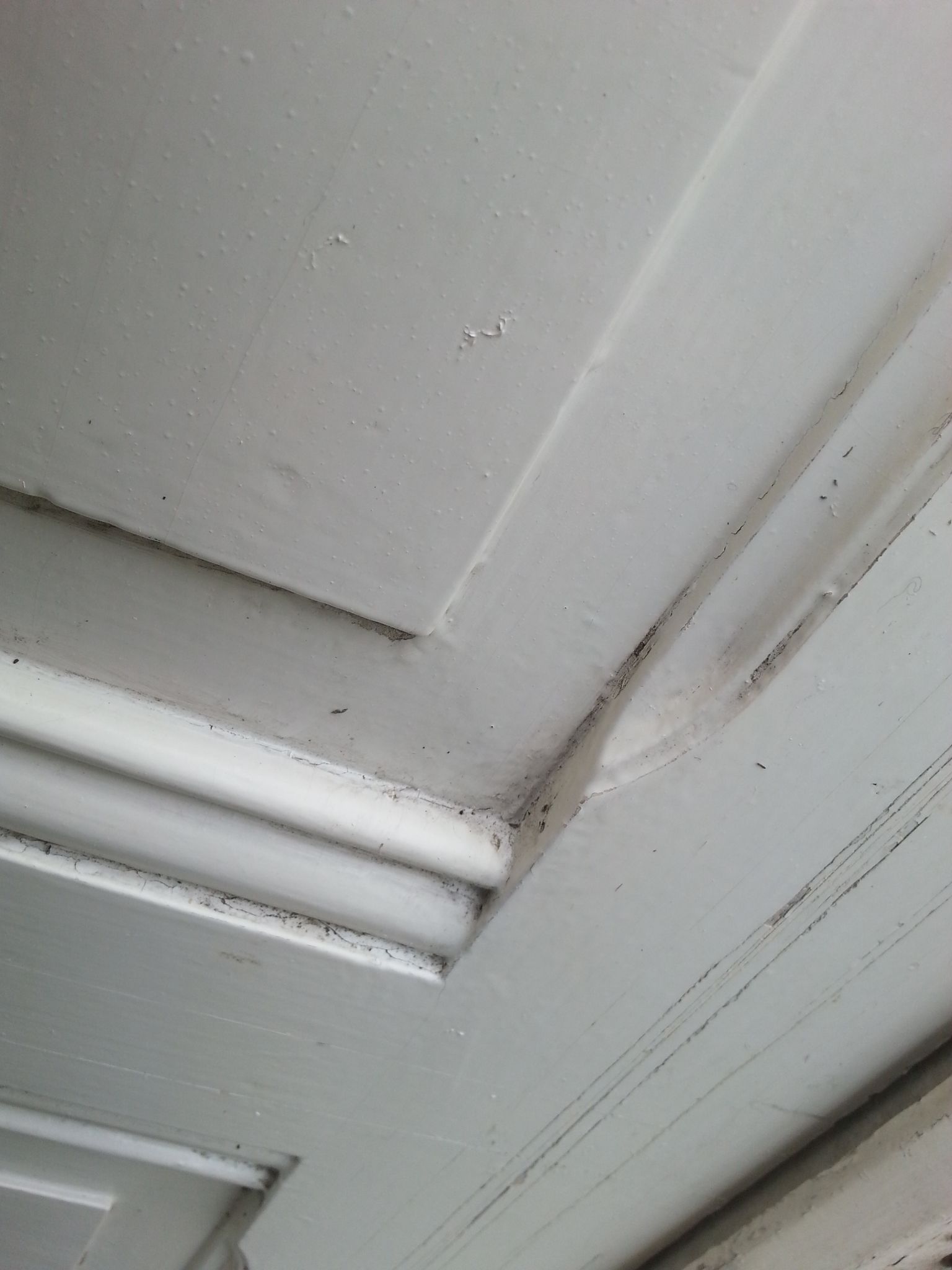 Pair of old beautiful white patina separation doors