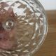 Vintage pretty candy box or cut glass sugar bowl
