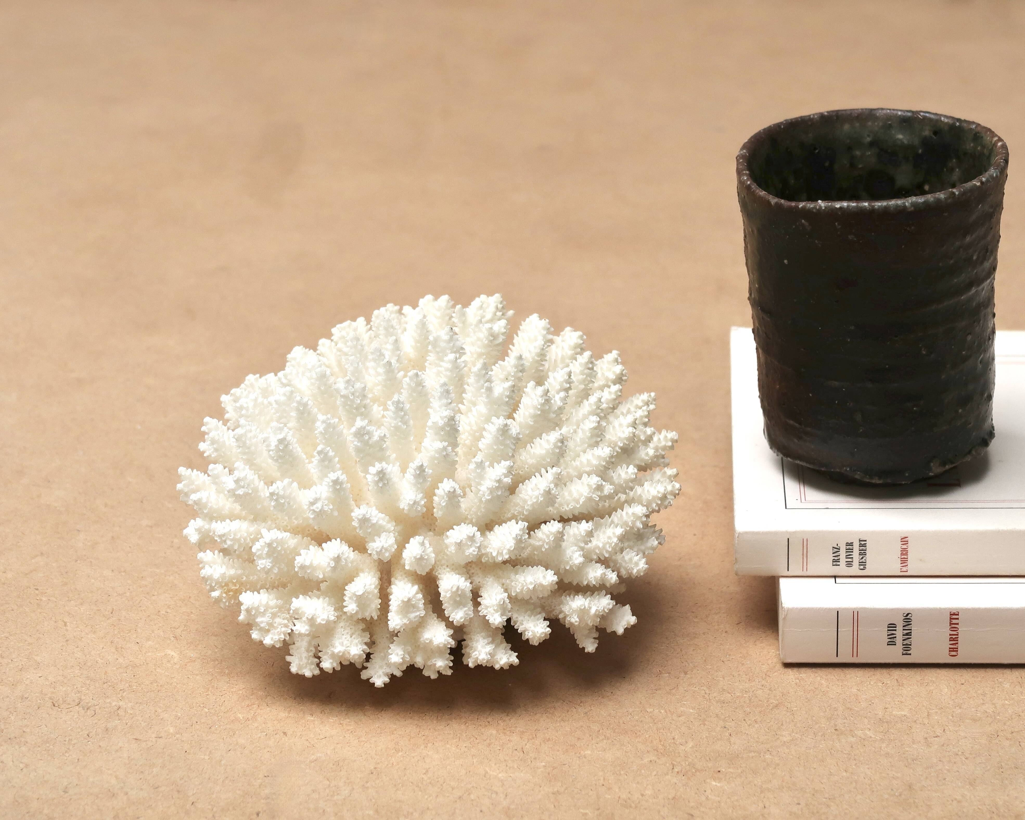 Natural white coral, 70s