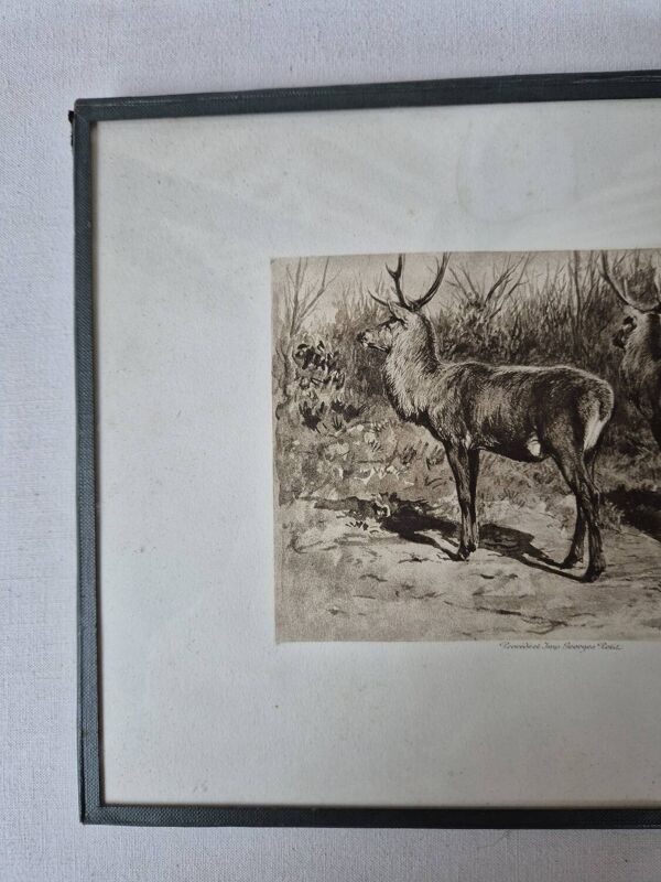 Gravure chasse cerfs Rosa Bonheur