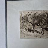 Engraving of a deer hunt by Rosa Bonheur