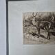 Gravure chasse cerfs Rosa Bonheur