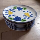 10 vintage dinner plates