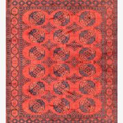 Tapis d'orient Boukhara Turkmène Afghanistan : 350 x 255 Cm