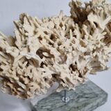 Antique White Coral on Grey Marble Base, 21 cm
