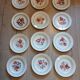 26 assiettes Digoin Sarreguemines