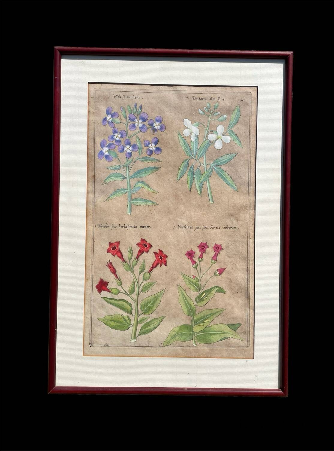 Gravure XVIIème originale sur cuivre, dessinée et gravée par Sweert