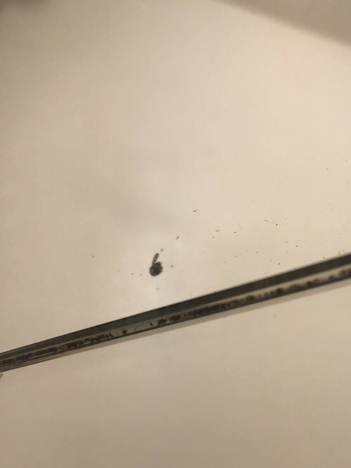 1950s - baroque rococo italian venetian mirror, 64x92cm