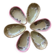 Vallauris avocado cups
