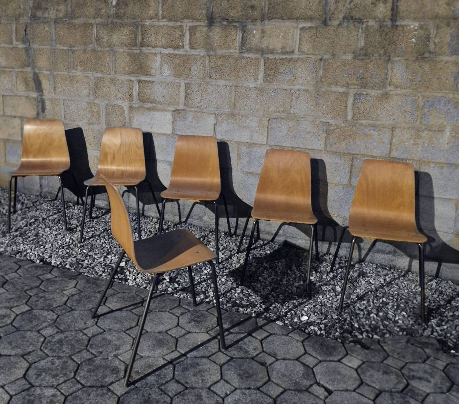 Suite de 6 Chaises Pierre Guariche modèle Papyrus Édition Steiner 1950