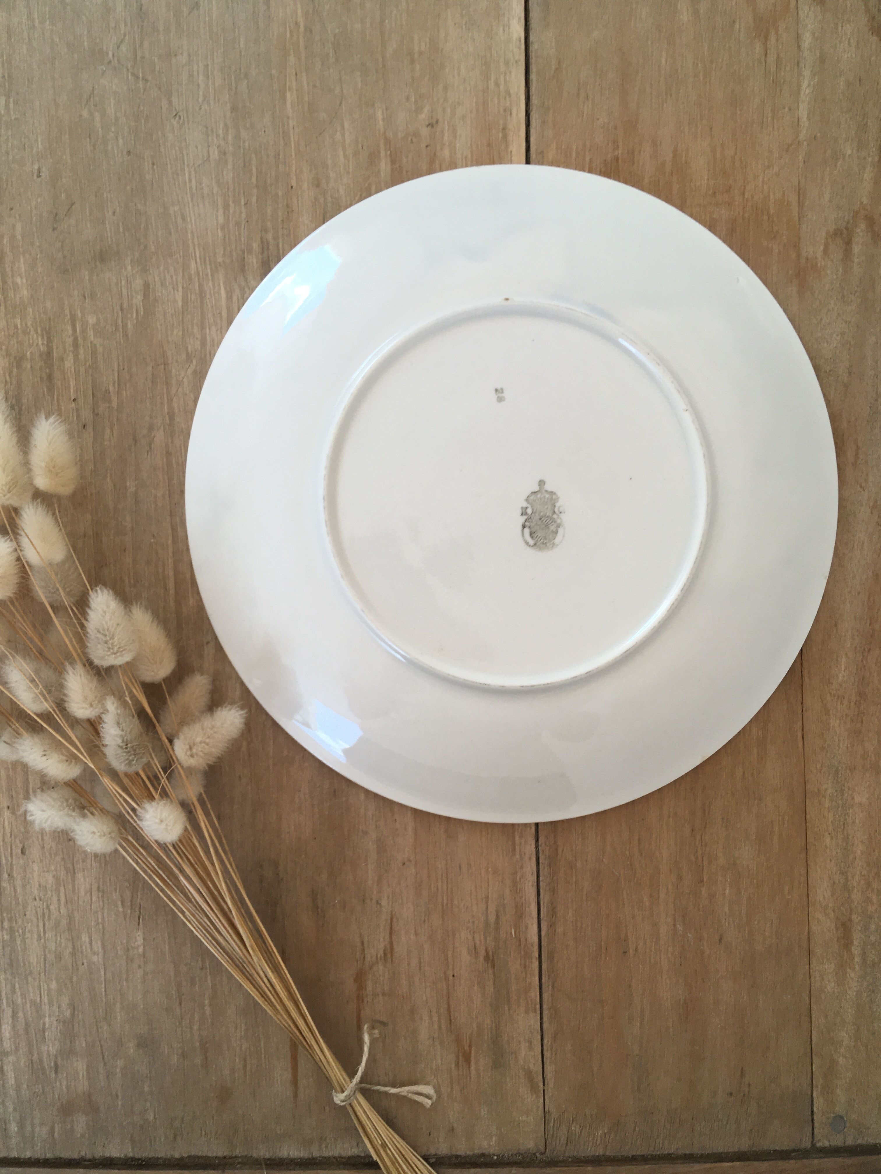 Mismatched yellow & blue plates
