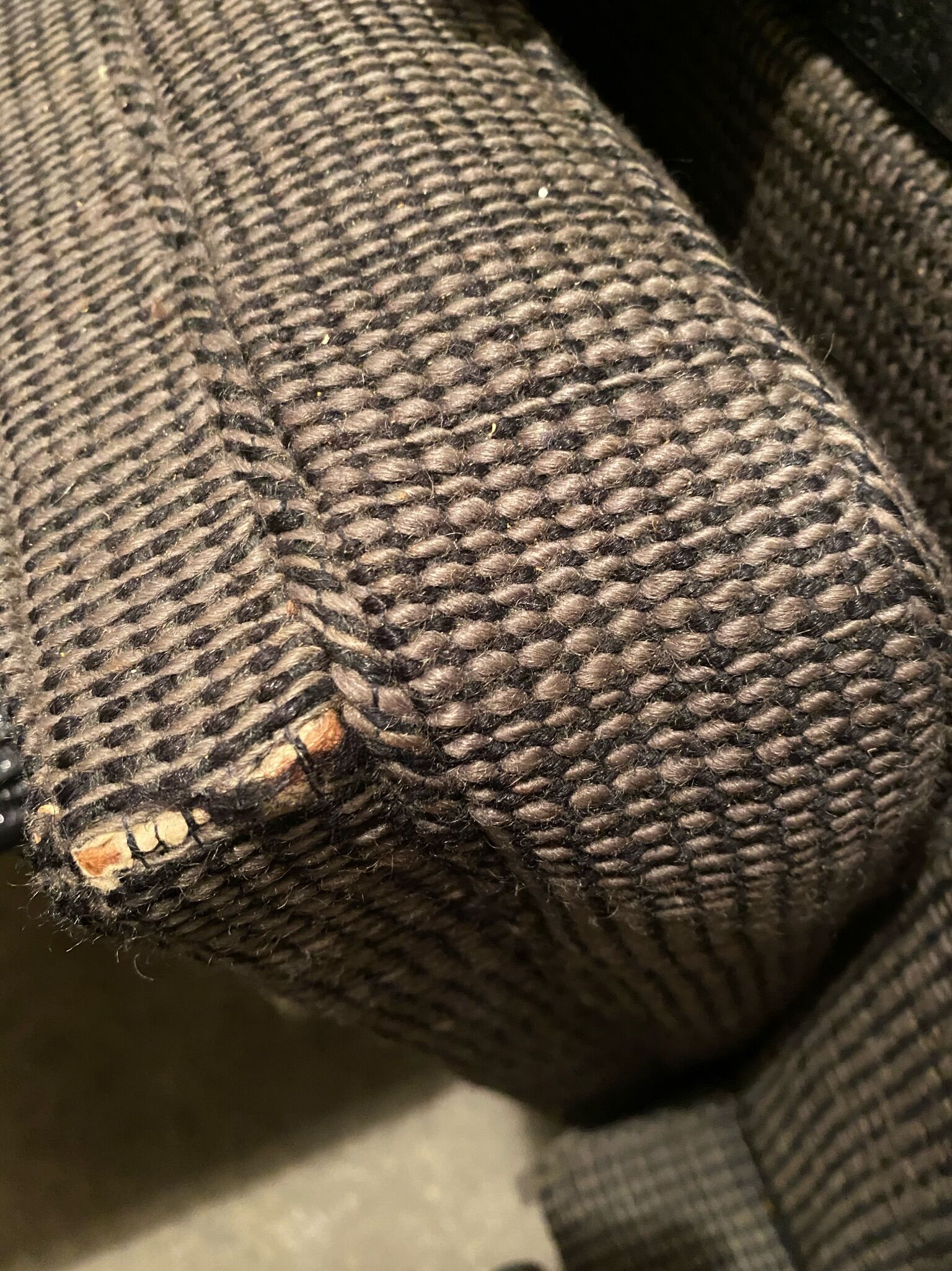 Pair of armchairs by Florence Knoll