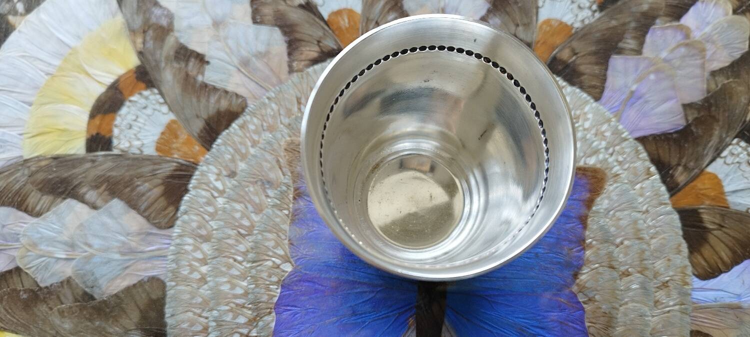 Silver-plated tumbler