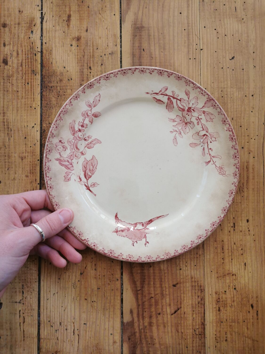 Assiettes anciennes Sarreguemines "Favori"