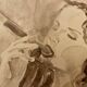 Watercolor Painting Signed “the smoker of Havanas” Cuba
