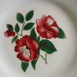 6 antique dessert plates from Digoin and Sarreguemines