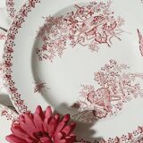 Lot de 6 assiettes creuses Onnaing Terre de Fer Modèle Moisson