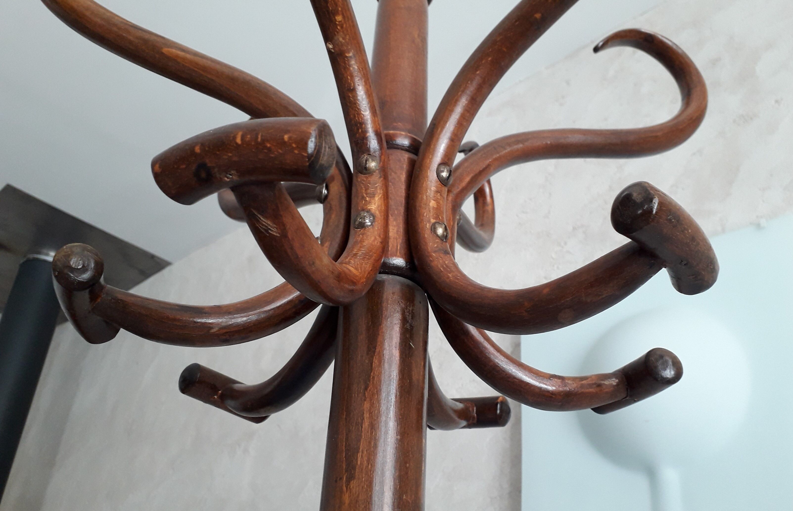 Wooden parrot holder