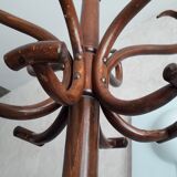 Wooden parrot holder