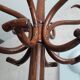 Wooden parrot holder