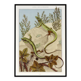 Poster “Lizard”, after an Art Nouveau lithograph from 1897
