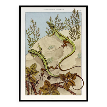 Affiche “Lézard”, d’après une lithographie art nouveau de 1897