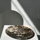 Dish in petrified wood