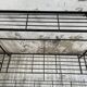 Plant holder florist metal staircase