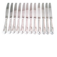 12 Guy Degrenne Rocaille Pattern Table Knives