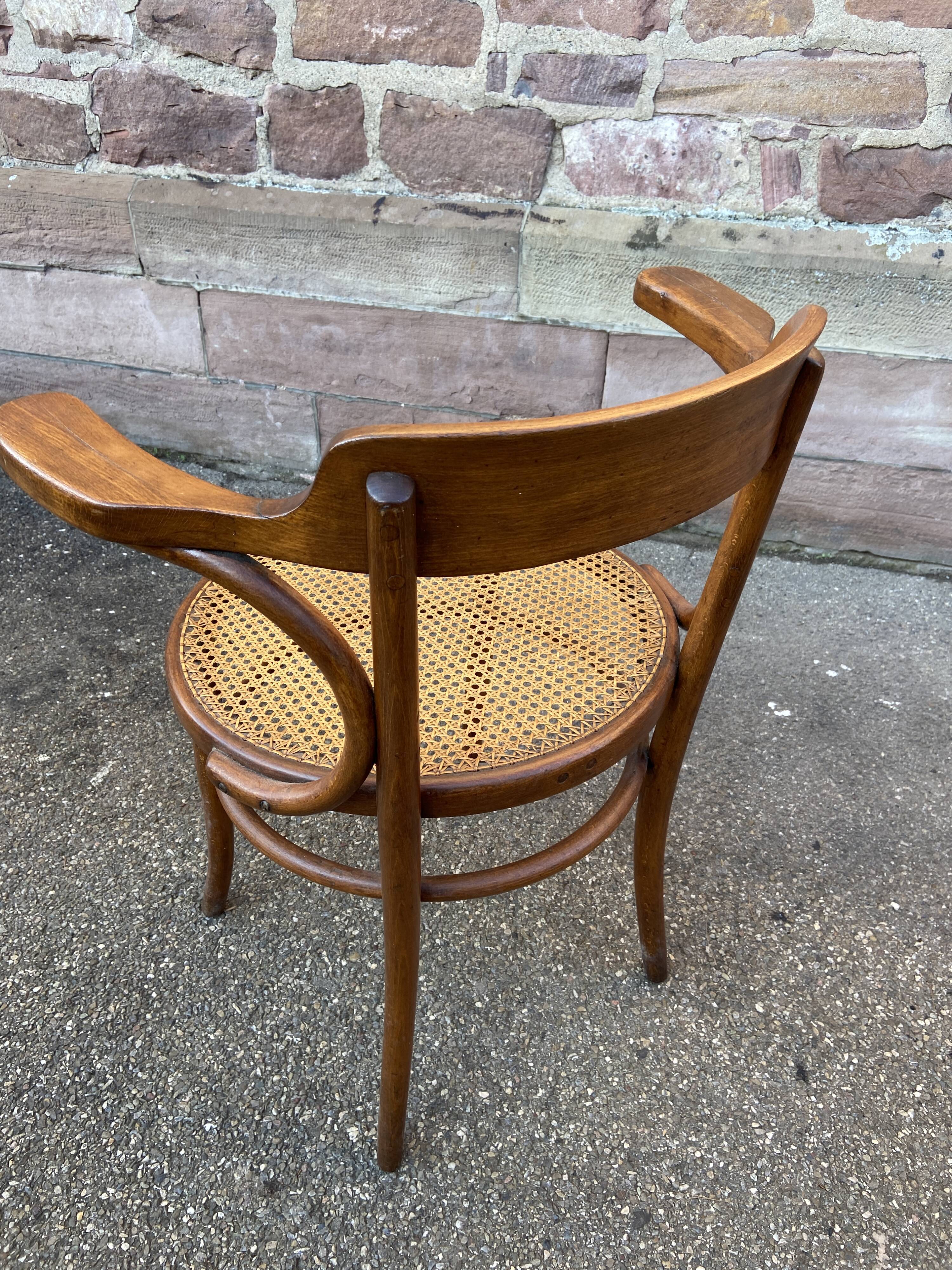 Viennese curved wood armchair Fischel circa 1920