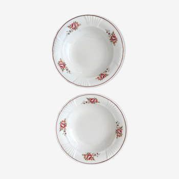 Set of 2 hollow flowered plates
